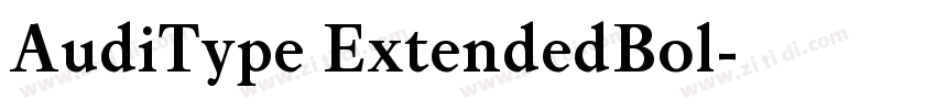 AudiType ExtendedBol字体转换